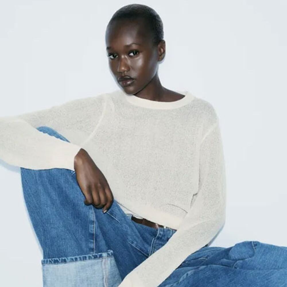 Zara Semi-Sheer Fine Knit Sweater - Size M